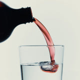 Beauty Renewal (Probiotic Concentrate)